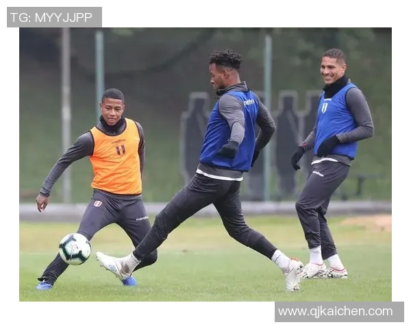 德国与巴西激战五场二十球的精彩对决回顾与分析